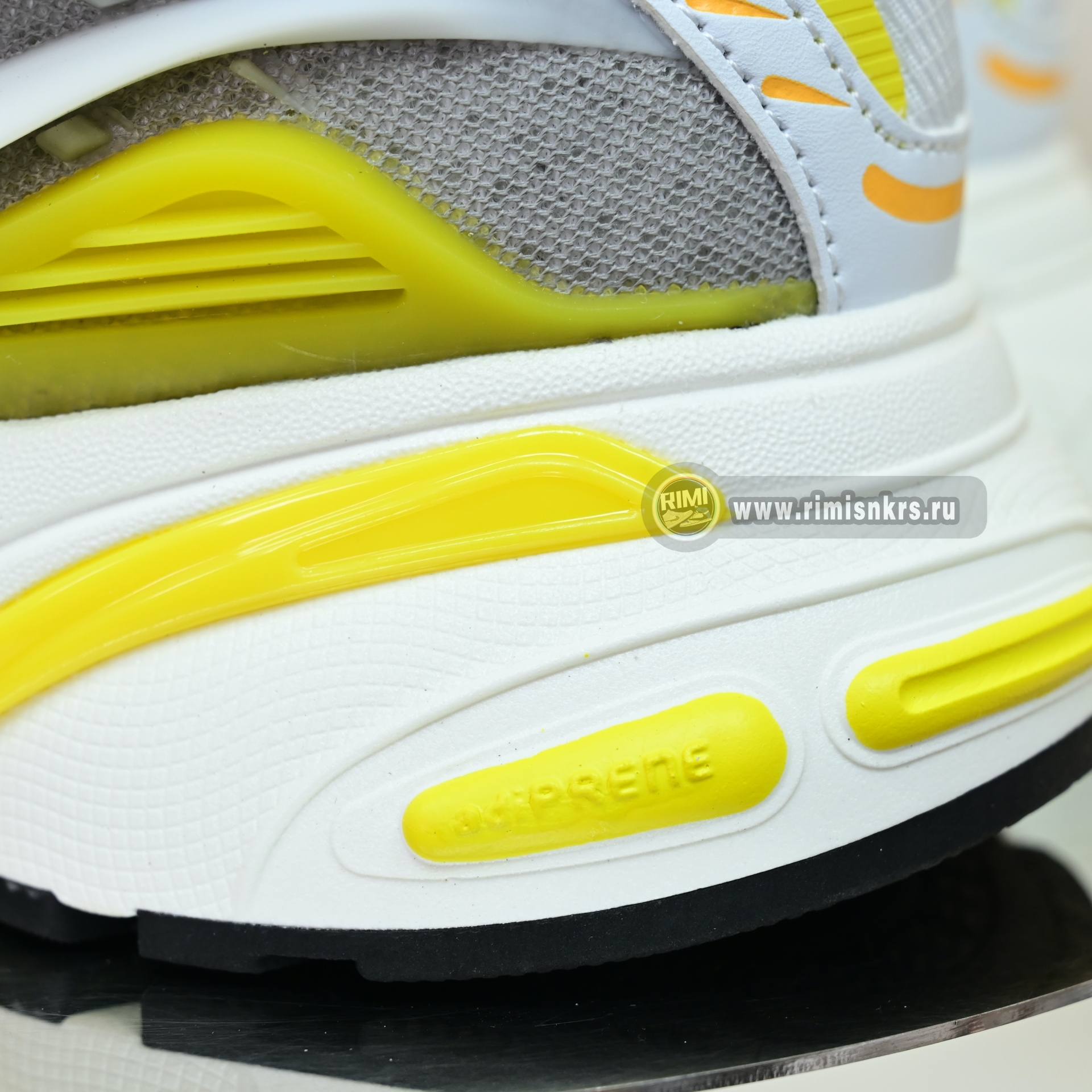 Pharrell x adidas Adistar Jellyfish JP9267