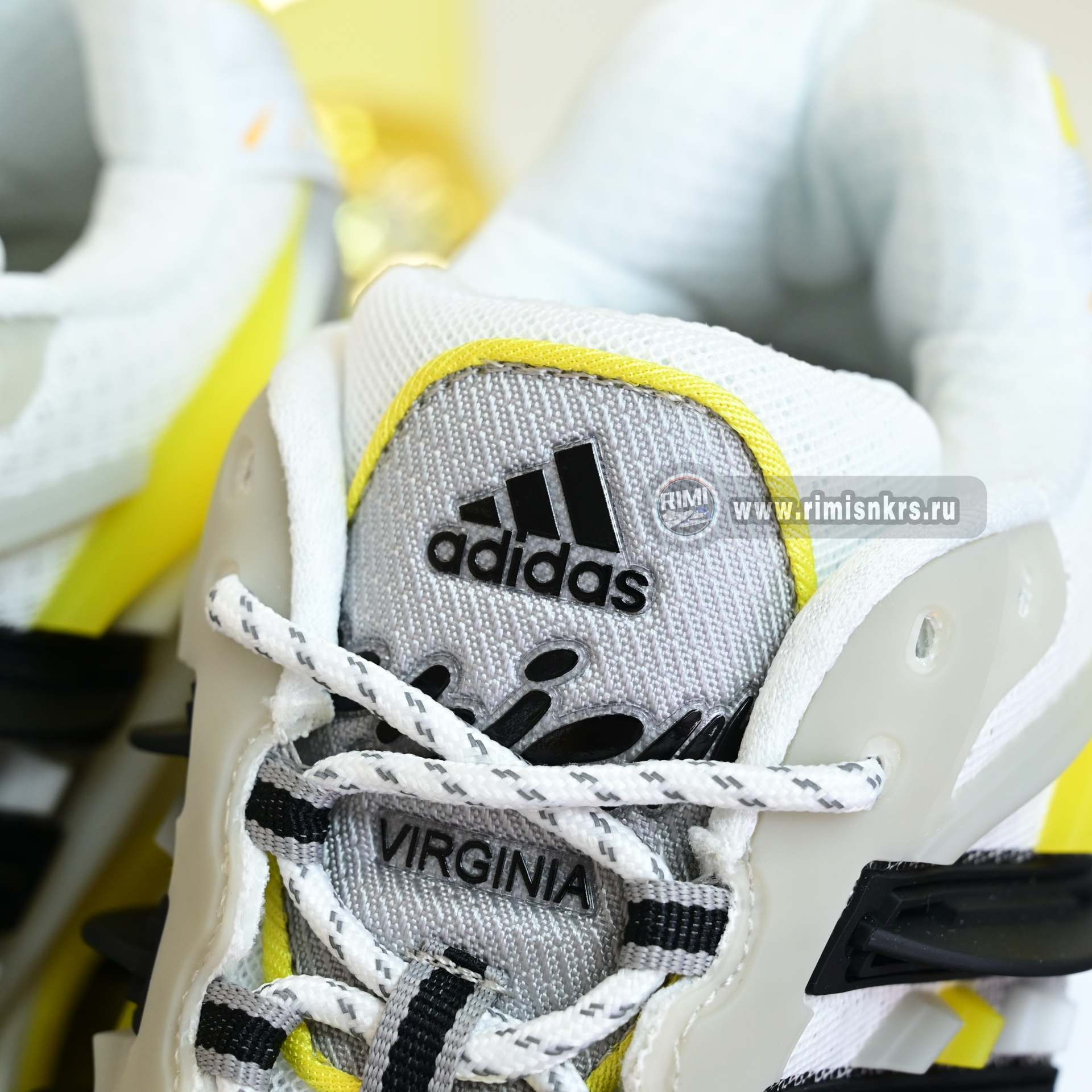 Pharrell x adidas Adistar Jellyfish JP9267