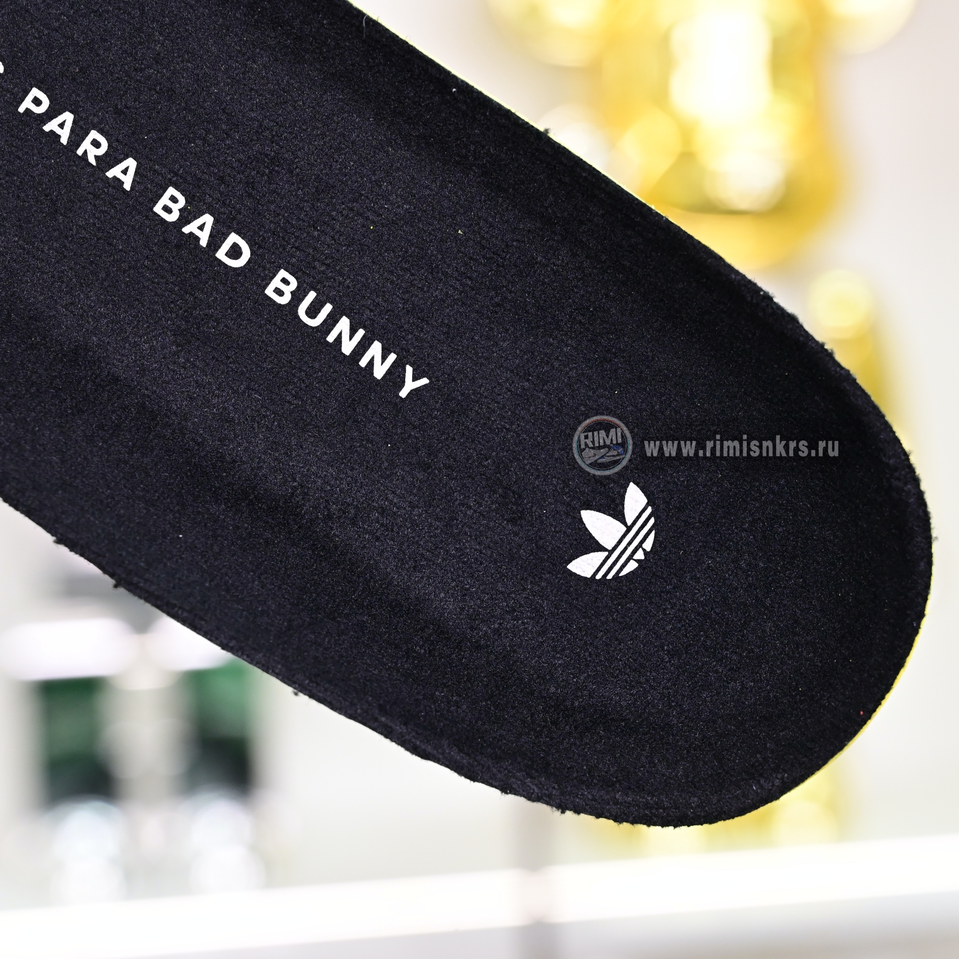 Bad Bunny x adidas originals GAZELLE INDOOR Cabo Rojo JS5052