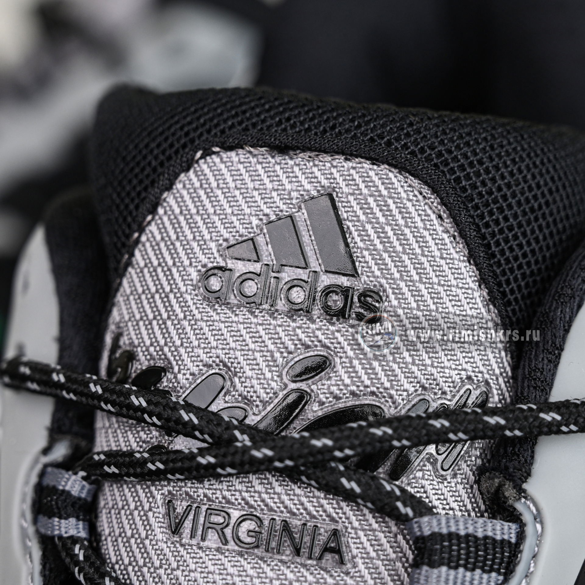 Pharrell x adidas Adistar Jellyfish JP9276