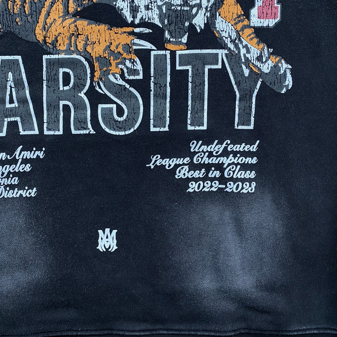 1_230 AMIRI  Hoodie