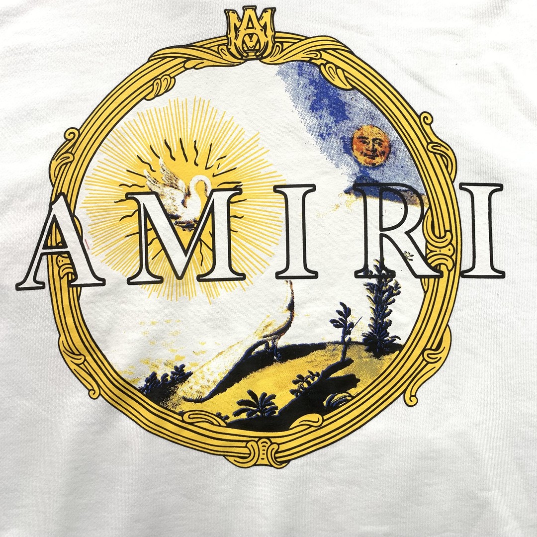 47_248 Amiri Hoodie