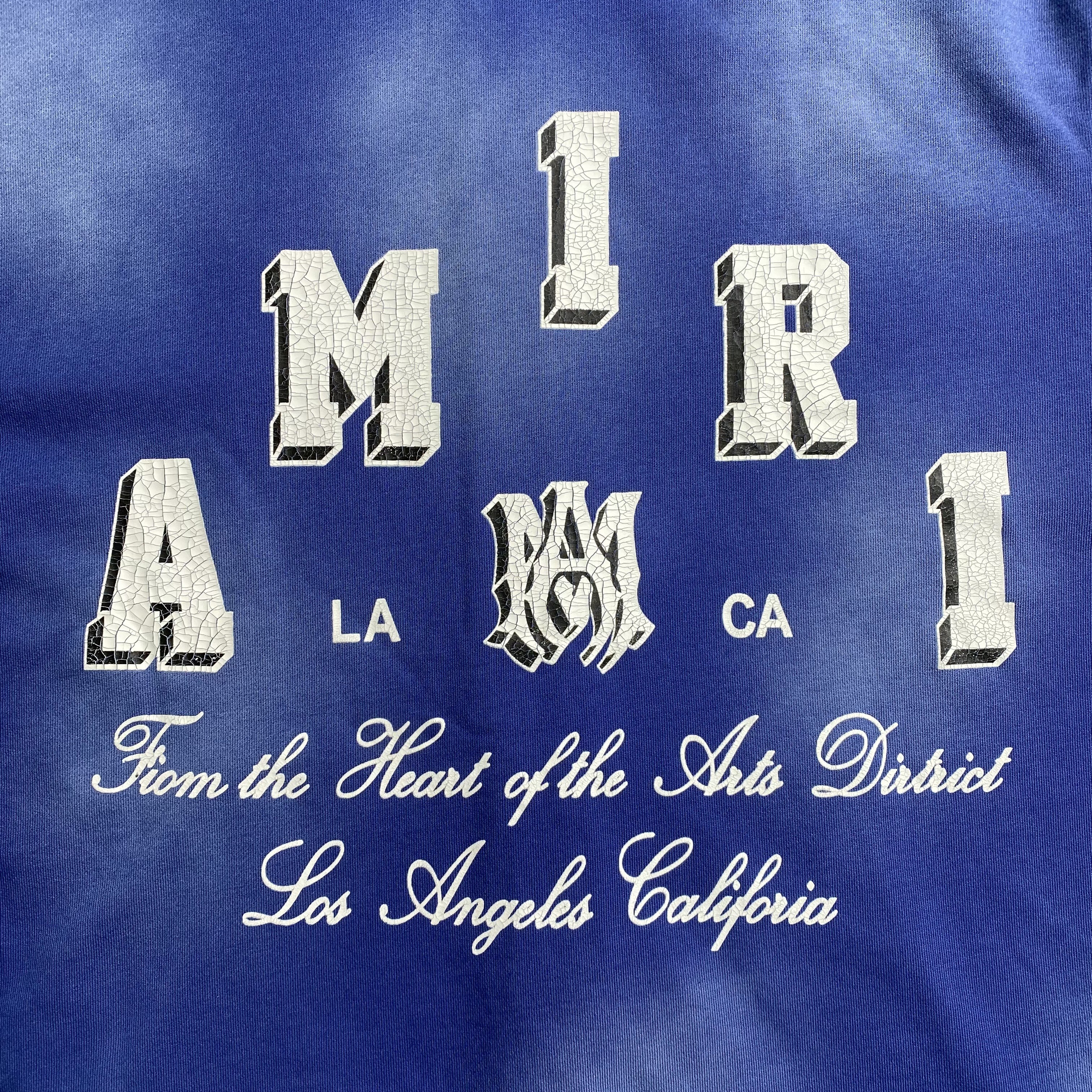 46_299 AMIRI Hoodie