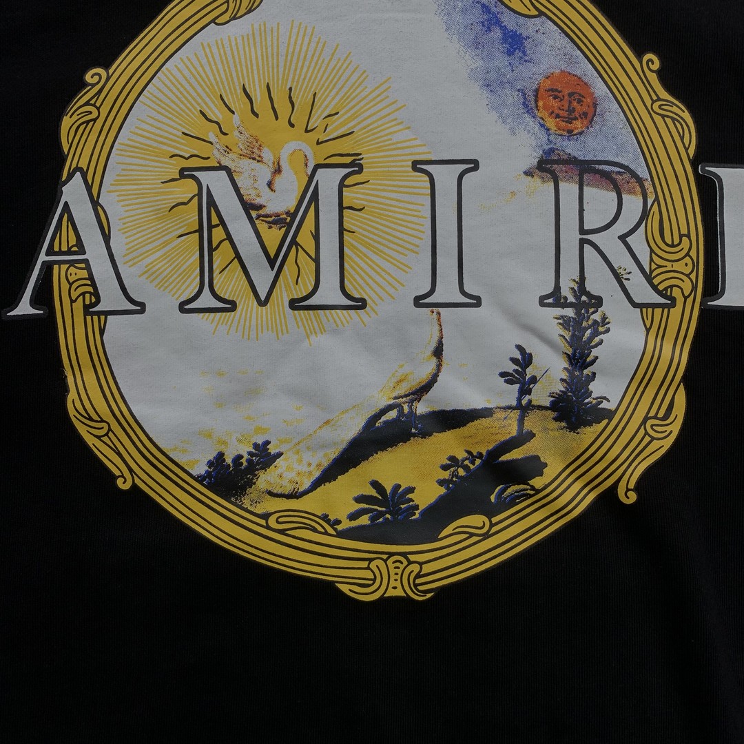 47_248 Amiri Hoodie