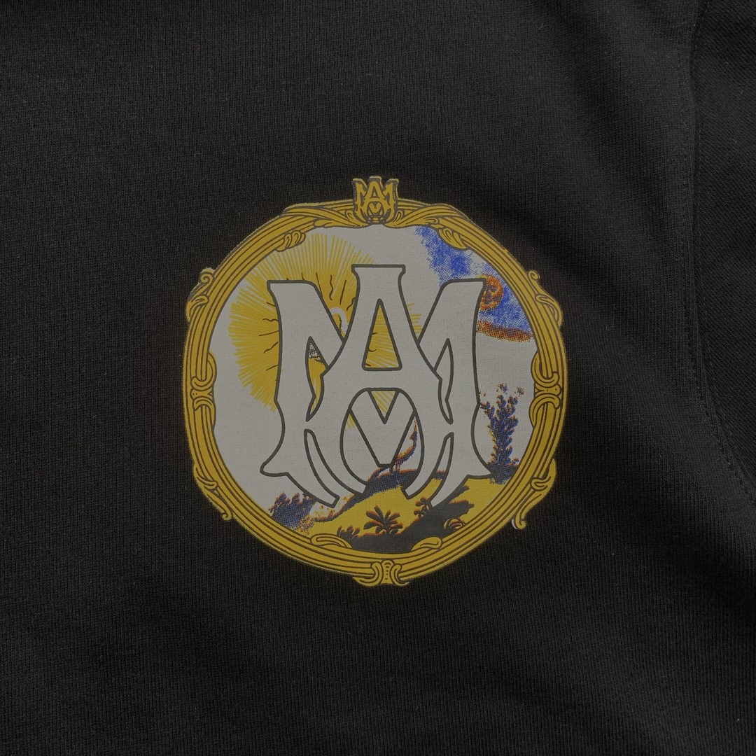 47_248 Amiri Hoodie