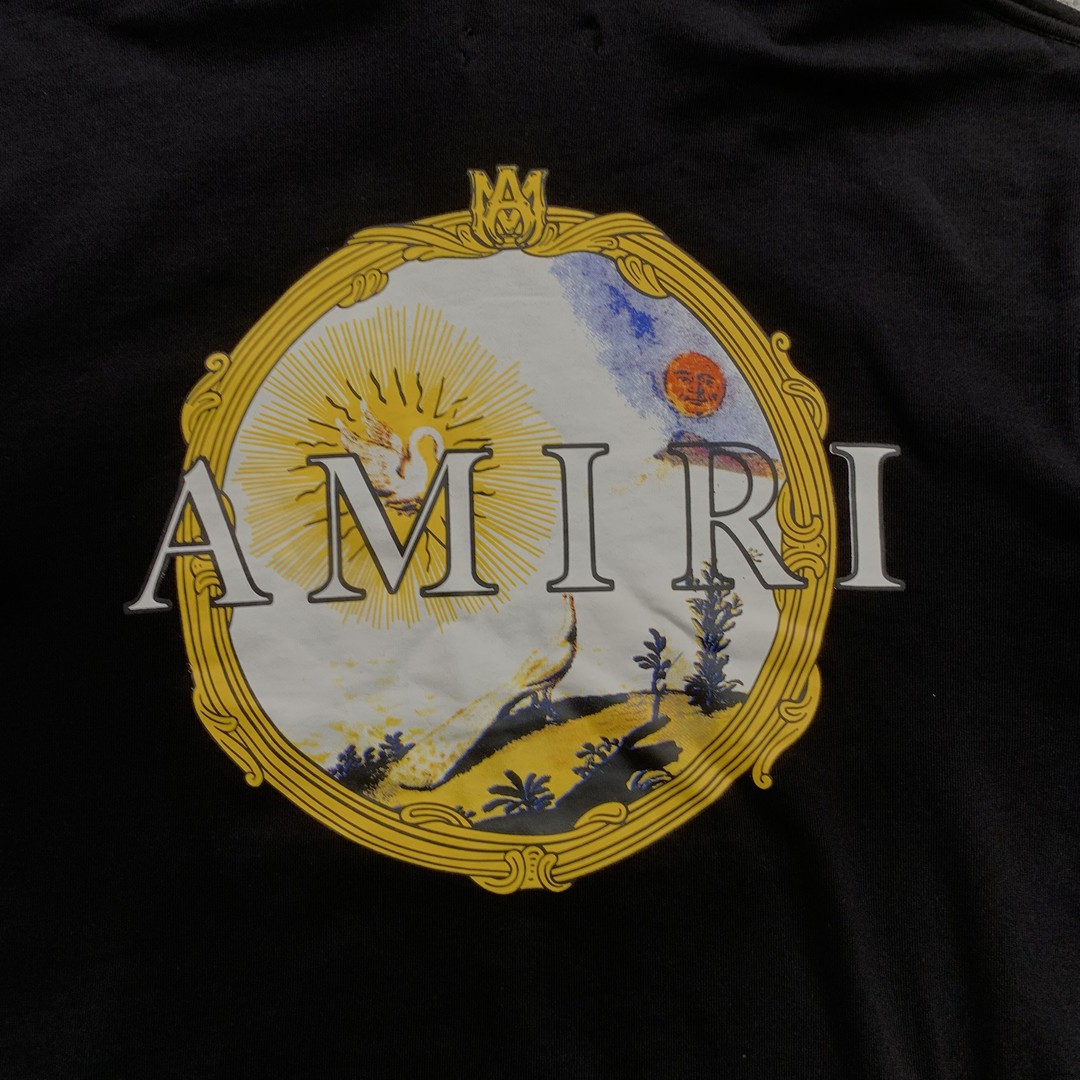 47_248 Amiri Hoodie