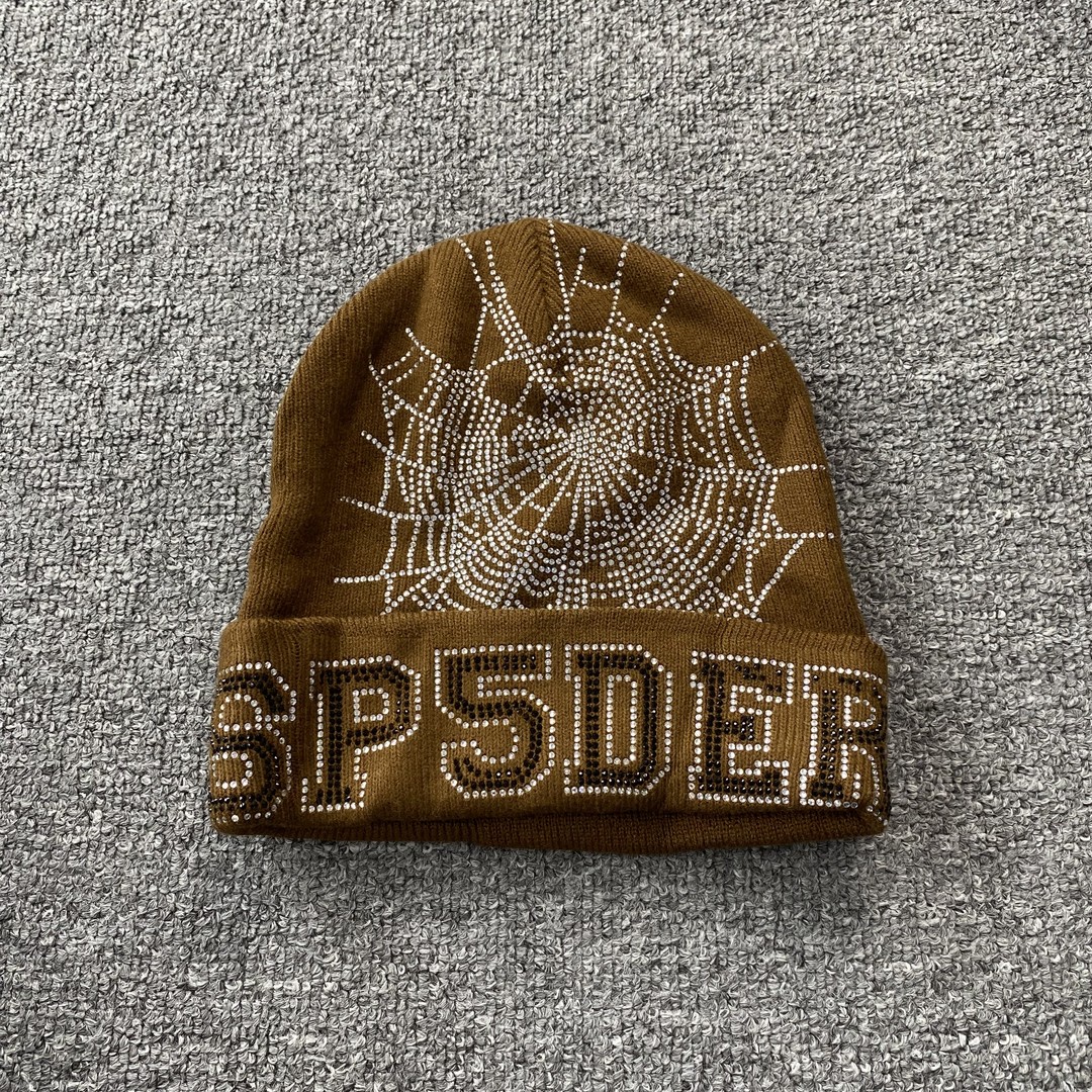 5_100 spider Beanie