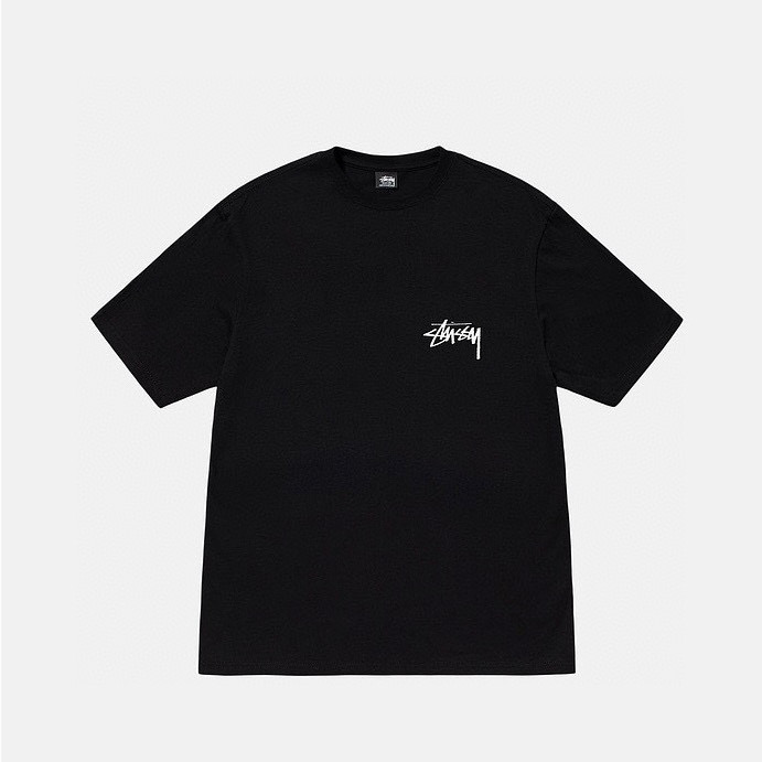 31_Stussy T-shirt