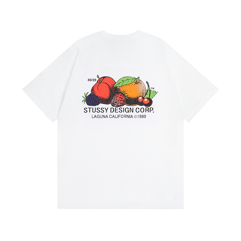 70_Stussy T-shirt