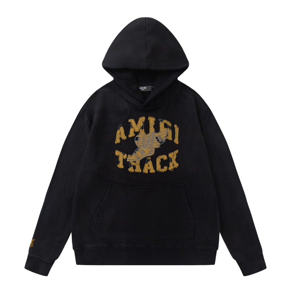 48_Amiri Hooide